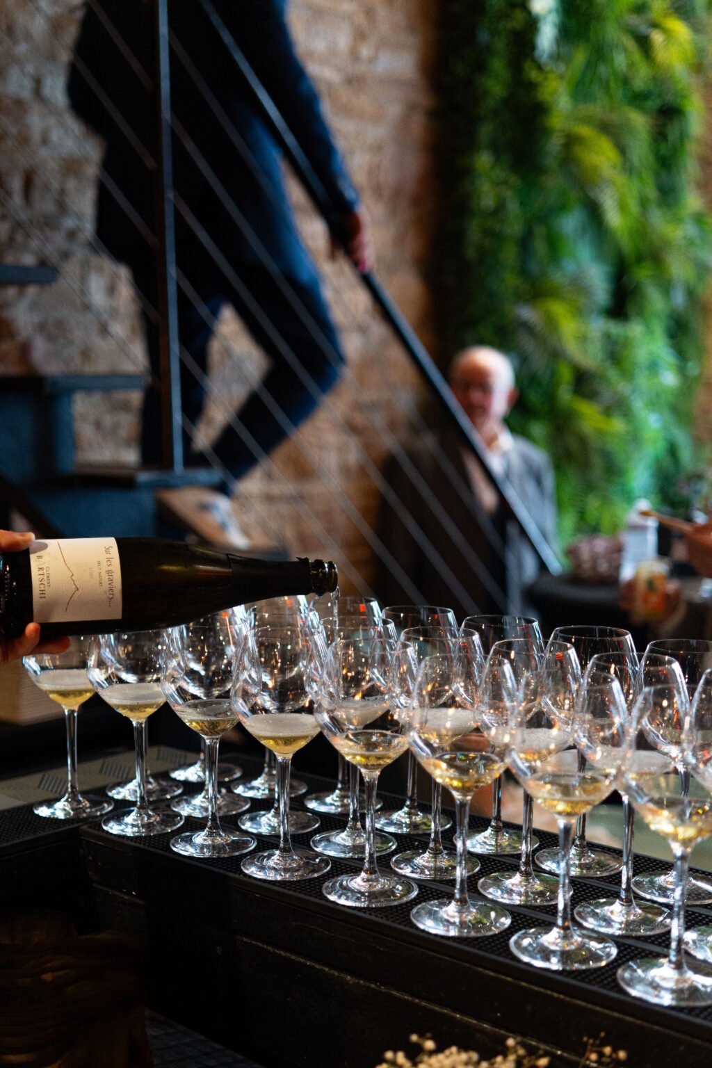 Rows of wine glasses ready for service