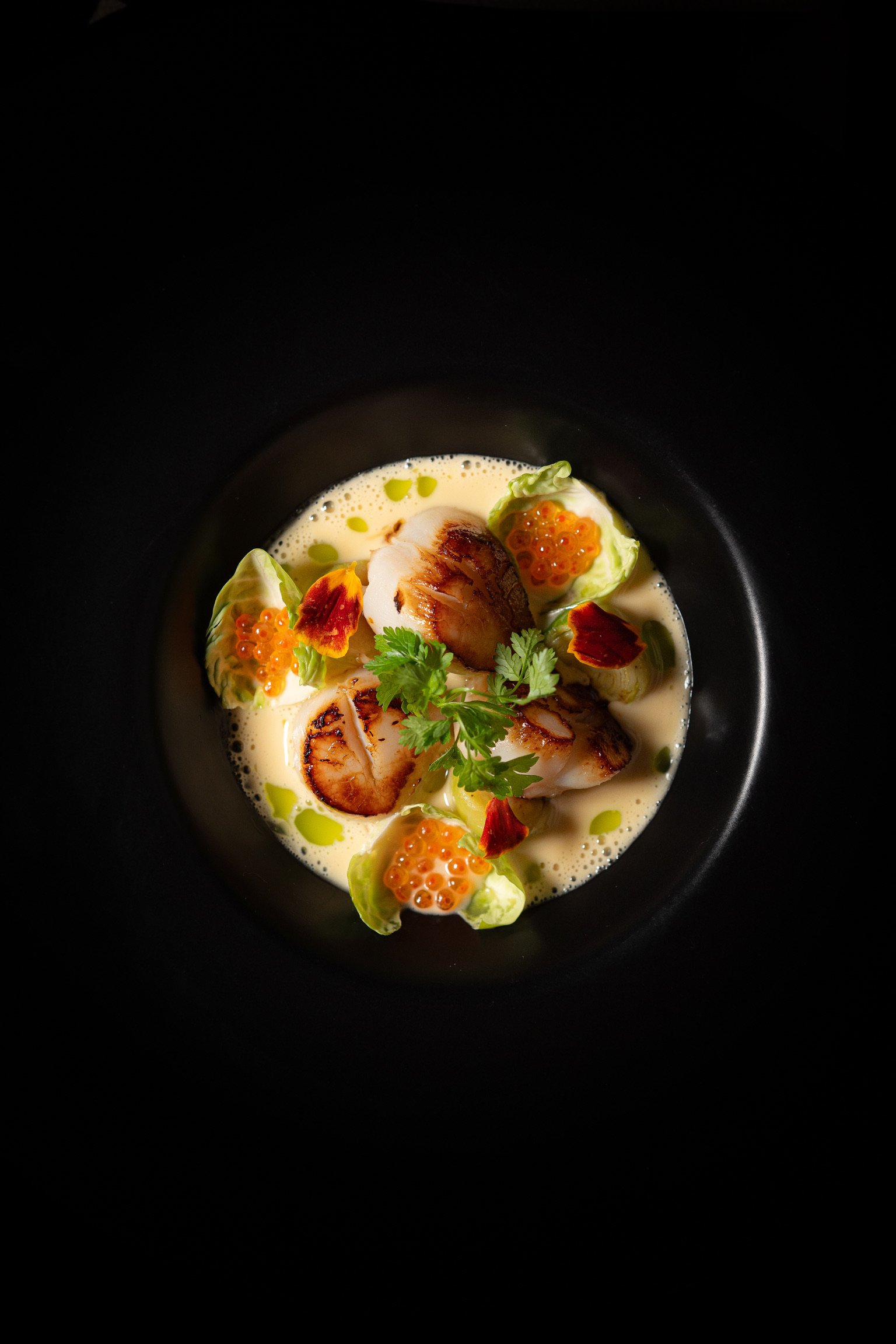 Saint-Jacques snackées et œufs de truite, restaurant ART Lyon
